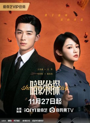 Теневой детектив